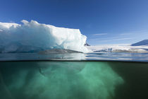 Underwater Iceberg, Enterprise Island, Antarctica by Danita Delimont