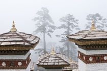 Asia, Bhutan, Dochu La by Danita Delimont