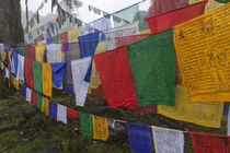 Prayer flags at the top of Dochula, a mountain pass. by Danita Delimont