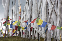 Asia, Bhutan, Chen La Pass, prayer flags von Danita Delimont