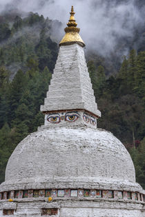 Bhutan, Himalaya, Stupa. by Danita Delimont
