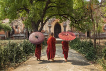 Myanmar, Bagan by Danita Delimont