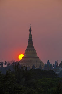 Myanmar, Yangon by Danita Delimont