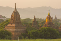 Bagan. Temples at sunset. von Danita Delimont