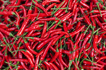 Red peppers for sale in market, Myanmar, by Danita Delimont