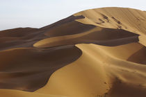 China, Inner Mongolia, Badain Jaran Desert von Danita Delimont