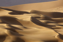 China, Inner Mongolia, Badain Jaran Desert von Danita Delimont