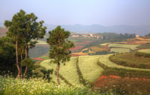 China,Kunming Dongchuan Red Land area landscape of crop land... von Danita Delimont
