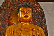 Golden and colorful Buddha at the Jade Buddha Temple in Shan... von Danita Delimont