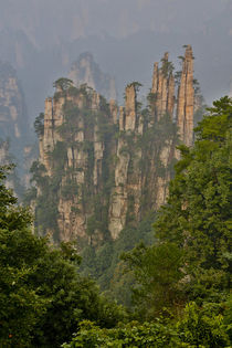 Hallelujah Mountains China, Wulingyuan District, Landscape a... von Danita Delimont