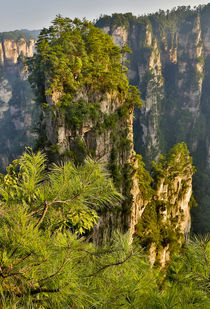 Hallelujah Mountains, Wulingyuan District, Landscape and man... von Danita Delimont