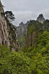 Yellow Mountains a UNESCO World Heritage Site von Danita Delimont