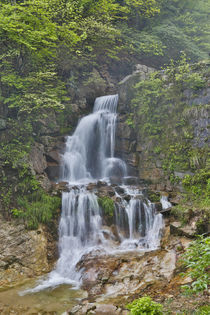 Waterfall in the Yellow Mountains a UNESCO World Heritage Site by Danita Delimont