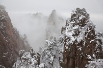 Snow, Huangshan or Yellow Mountains, Anhui Province, China by Danita Delimont