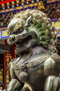 Dragon Bronze Statue Roof Summer Palace Beijing, China by Danita Delimont