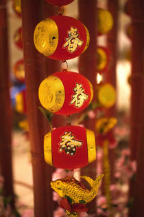 Chinese New Year Decorations by Danita Delimont
