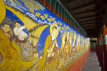 India, Ladakh, Thiksey, colorful wall painting with Buddhist... von Danita Delimont