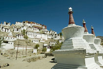 India, Ladakh, Thiksey, Thiksey Gompa on hill in a typical L... von Danita Delimont
