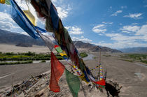 India, Jammu & Kashmir, Ladakh, strings of prayer flags at S... von Danita Delimont
