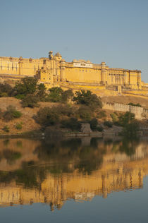 Amber Fort reflected in Maota Lake, Jaipur, Rajasthan, India. von Danita Delimont