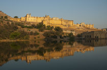 Amber Fort reflected in Maota Lake, Jaipur, Rajasthan, India. by Danita Delimont