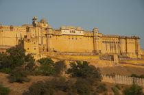 Amber Fort, Jaipur, Rajasthan, India. by Danita Delimont