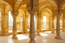 Colonnaded gallery, Amber Fort, Jaipur, Rajasthan, India. by Danita Delimont