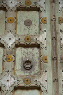 Detail of a wooden door, Mehrangarh Fort, Jodhpur, Rajasthan, India. by Danita Delimont