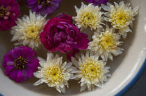 Flowers in a bowl of water, Rawal Jojawar Hotel, Jojawar, Ra... by Danita Delimont