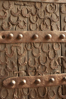 Horseshoes decorate a wooden door, Jama Masjid, Fatehpur Sik... von Danita Delimont