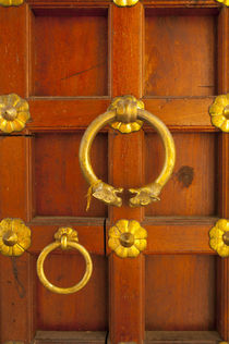 Ornate door at the City Palace, Udaipur, Rajasthan, India. von Danita Delimont