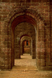 ARCHED PATHWAY AT BASILICA OF BOM JESUS, ST by Danita Delimont