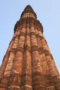 Qutb Minar and its monuments, Delhi, India by Danita Delimont