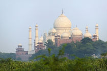 Taj Mahal, Agra, India von Danita Delimont