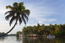 Houseboat, Backwaters, Alappuzha or Alleppey, Kerala, India by Danita Delimont