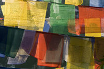 Buddhist prayer flags, Bodh Gaya, Bihar, India by Danita Delimont