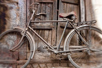 Bicycle in doorway, Jodhpur, Rajasthan, India by Danita Delimont