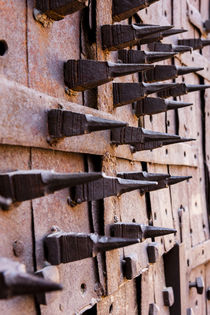 Door with spikes for defense against elephant attacks by Danita Delimont