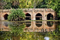 Athpula Stone Bridge Reflection Lodi Gardens New Delhi India by Danita Delimont