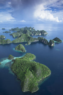 Indonesia, West Papua von Danita Delimont