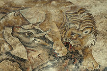 Israel, Lower Galilee, floor mosaic of a tiger attacking a c... by Danita Delimont
