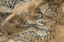 Israel, Lower Galilee, floor mosaic of an animal from the mi... by Danita Delimont