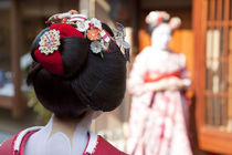 Geisha, Kyoto, Japan von Danita Delimont