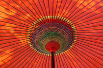 Traditional umbrella, Japan von Danita Delimont