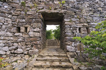 The stone entrance to Nakijin Castle, a 14th Century castle ... von Danita Delimont