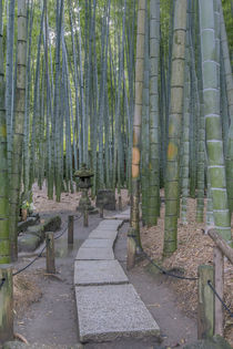 Hokokuji Temple Garden by Danita Delimont