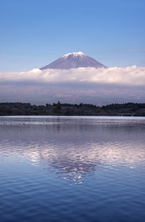 Mt. Fuji by Danita Delimont