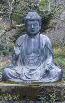 Japan, Kanagawa, Kamakura, Tokeiji Temple Buddha . by Danita Delimont