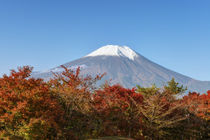Mt. Fuji von Danita Delimont