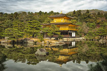 Kyoto, Japan, Golden Temple by Danita Delimont